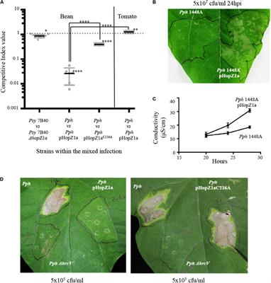 Suppression of HopZ Effector-Triggered Plant Immunity in a Natural Pathosystem